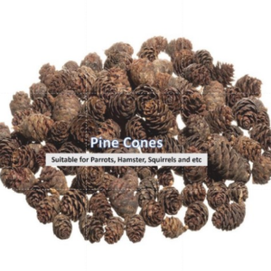 [250g] Pine Cone in Shell for Parrots, Hamster, Squirrel & etc